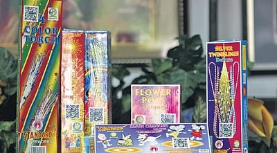 தில்லியில் பட்டாசு உற்பத்தி மற்றும் விற்பனைக்குத் தடை!